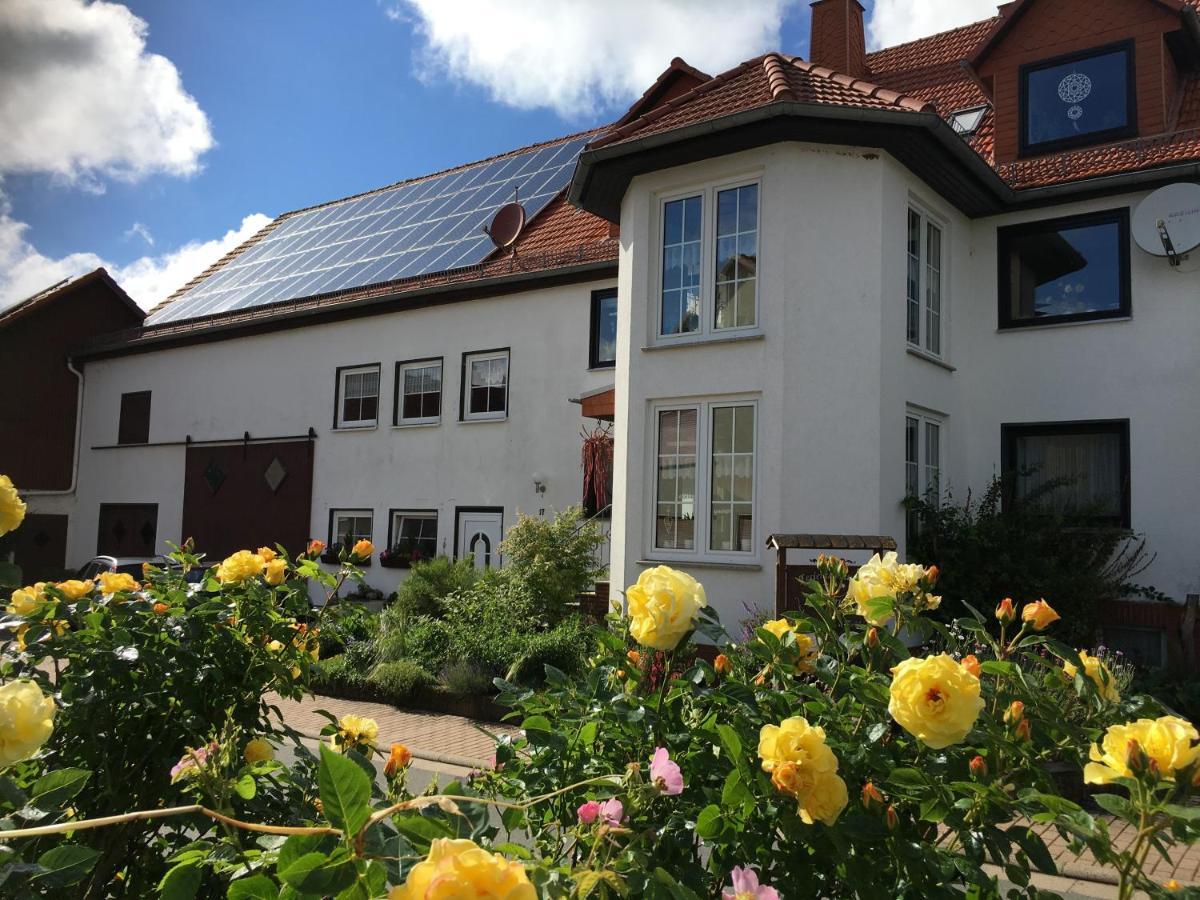 Gallowayhof Am Edersee Vöhl Exterior foto